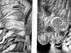 2 prints based on natural forms