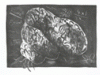 einsteins-brain-lithograph.gif